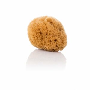 Natursvamp – fina/hardhead